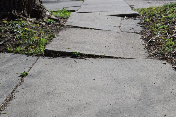 Cost of Trip Hazard Removal in Jacksonville